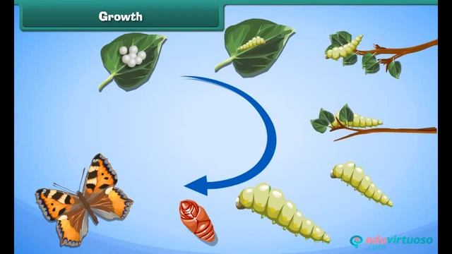 Living and Non living Things | Class 4 | Science | CBSE | ICSE | FREE Tutorial смотреть онлайн