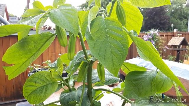 У меня новинки из огромной ПОСЫЛКИ😀