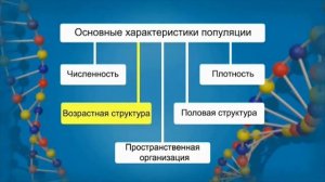 Популяция   элементарная единица эволюции  Видеоурок по биологии 11 класс