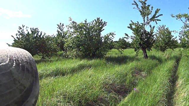 Подъем Фазана))) Прогулка с легавой ""Сара"" смотреть онлайн