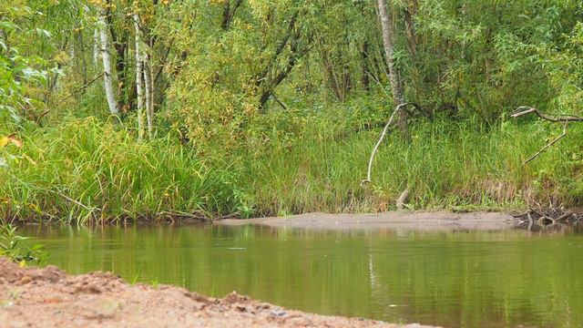 река Таёжный баджей / river Taezhniy badzhey смотреть онлайн