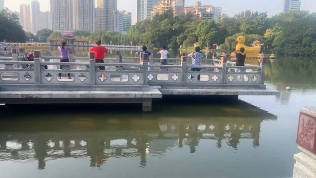 Цигун, утро, 06:15, Китай ?? Morning Time 06 am. Shenzhen. China. смотреть онлайн