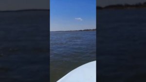 Лодочный мотор Golfstrem (PARSUN) 30 и лодка Крым