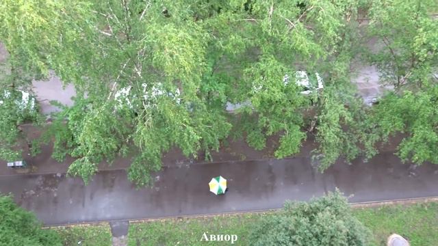 🌈 Калейдоскоп погоды.Воронеж 7.06.18 смотреть онлайн