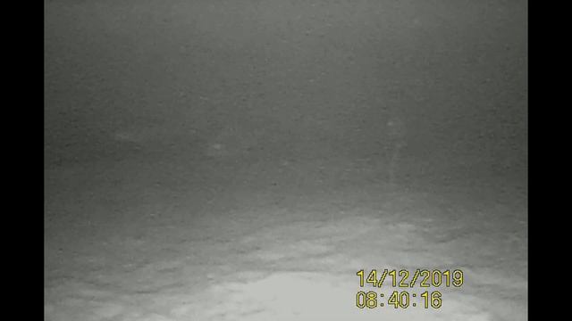 Подводная видеокамера Calypso UVS-03. В поисках окуня. Инфракрасная съёмка. смотреть онлайн