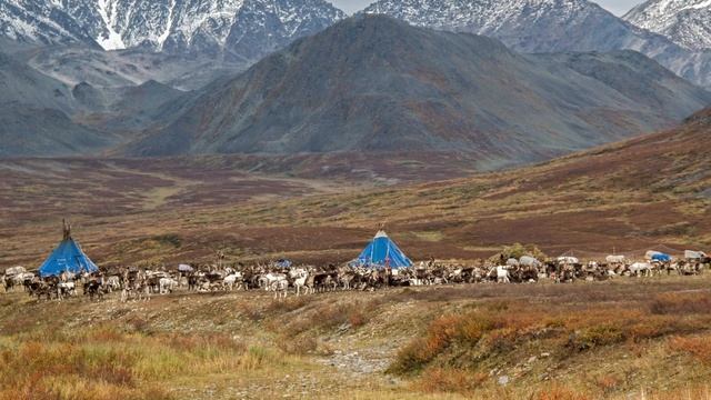 Река Большая Кара и её притоки.