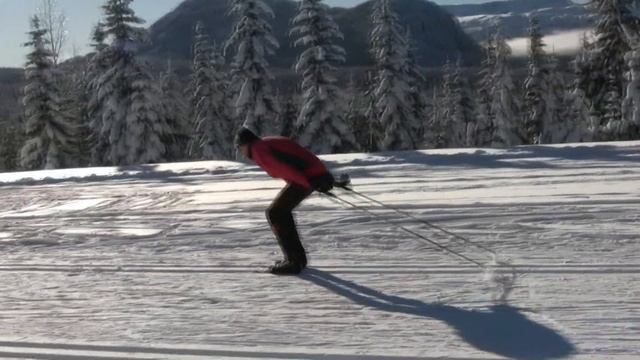 Reviewing some basic classic cross country ski techniques смотреть онлайн