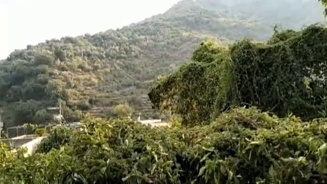 СВАРИЛА ПОЛЬСКИЕ ФЛЯКИ. Я РАЗОШЛАСЬ. А ВЫ НЕ ПОНЯЛИ...