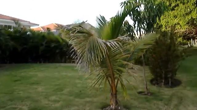 Недвижимость в Доминиканской Республике смотреть онлайн