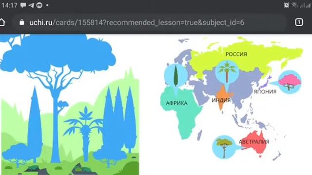 4 кл Растения и животные субтропической зоны. Природа. География. Окружающий мир. Ридель Алиса. смотреть онлайн
