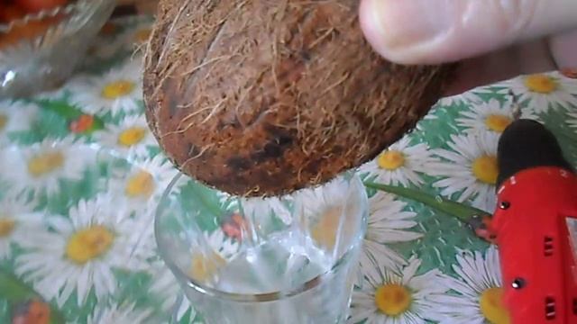 Русский вариант добыть сок кокоса. смотреть онлайн