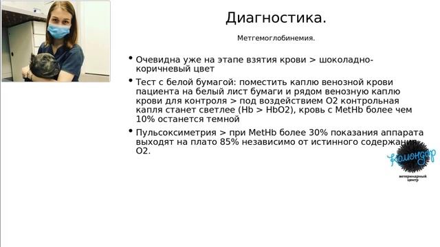 Отравление кошек ацетаминофеном ( парацетамолом ). Клинический случай. смотреть онлайн