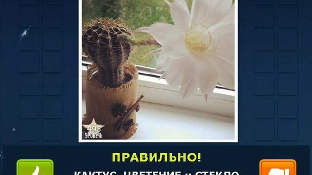 ОТВЕТЫ игра "НАЙДИ СЛОВА-2" 491, 492, 493, 494, 495, 496, 497, 498, 499, 500 уровень. смотреть онлайн