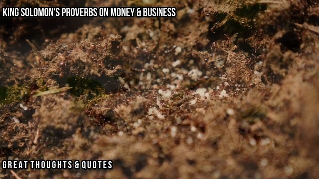 [SUB]KING SOLOMON'S SECRETS IN BUILDING WEALTH & BUSINESS |PROVERBS ON MONEY & BUSINESS(UPDATED VER смотреть онлайн