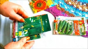 ОГУРЦЫ НА ЮГЕ.УРОЖАЙНЫЕ ДАЖЕ ПРИ ЖАРЕ!#огурцы  #огурцыдляюжногорегиона