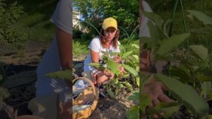 Светлана Наумова @naumova_sad об ионитных субстратах ЦИОН