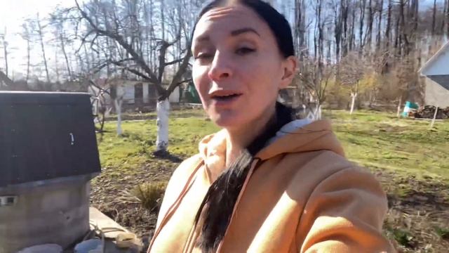 ОТКРЫЛИ ДАЧНЫЙ СЕЗОН/САДИМ ДЕРЕВЬЯ/ШАШЛЫК НА МАНГАЛЕ смотреть онлайн