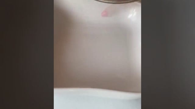 Рецепты на каждый день