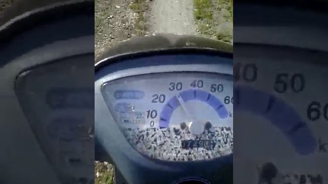 Скутер Honda Pal смотреть онлайн