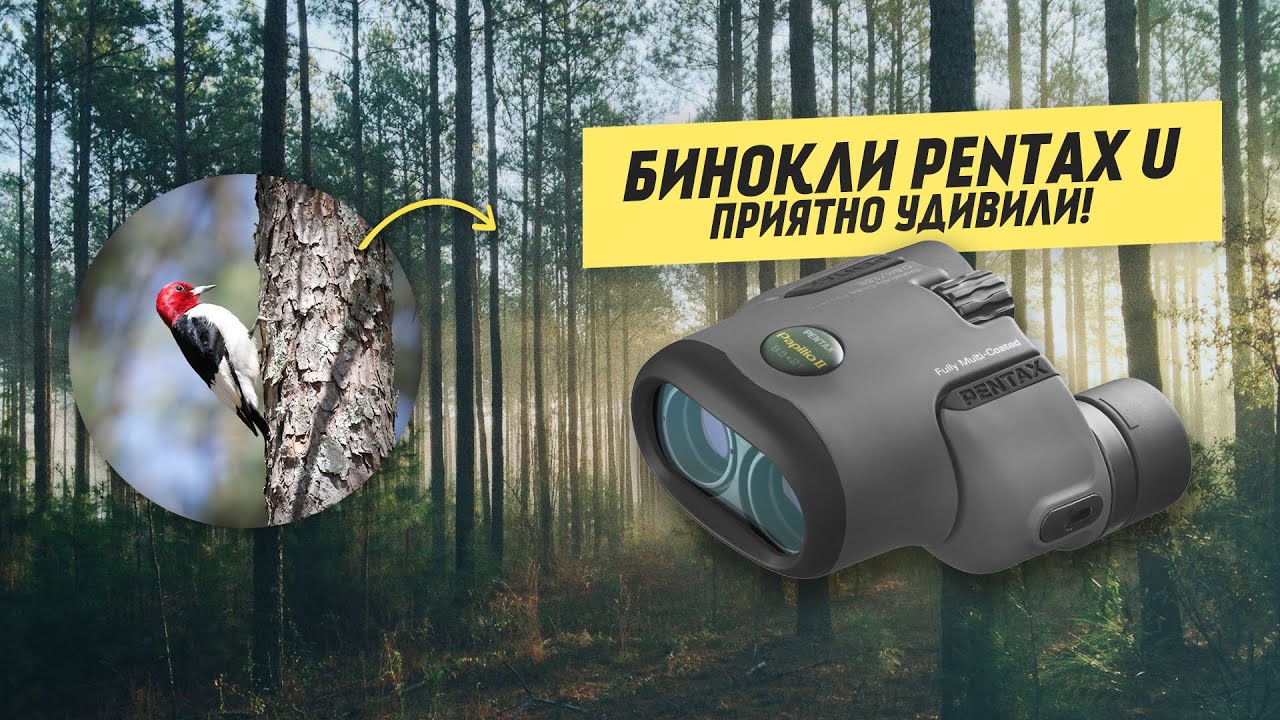 Обзор Биноклей Pentax – Серия U смотреть онлайн