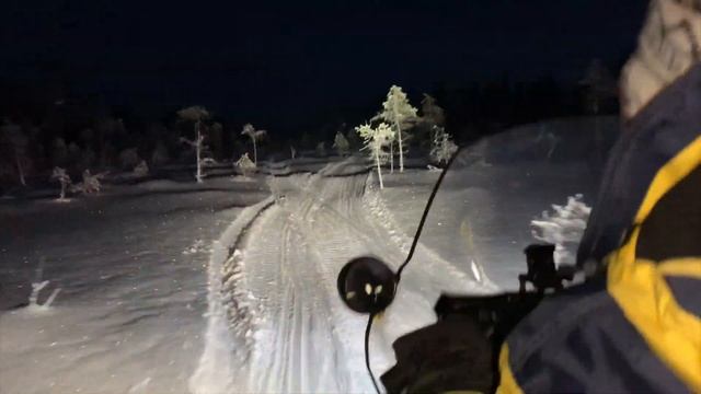 Новый год 2020. Отдых в Карелии на Новый год в Пулонге. смотреть онлайн