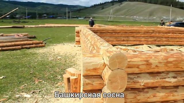 Сруб 7х8 д. Верхние Леканды. Аургазинский р-н. Башкирия.Толбазы. Кармаскалы. Чишмы. Красноусольский смотреть онлайн