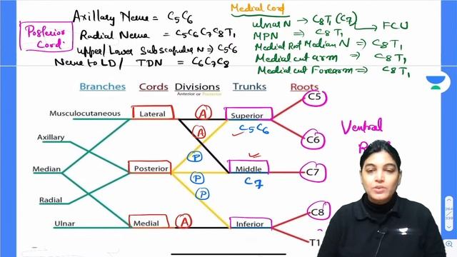 Anatomy Quiz-II | FMGE June Session 2022 | Anatomy | Let's Crack NEET PG | Dr.Monalisa смотреть онлайн
