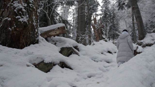 ?Таёжный проводник. (Часть1) смотреть онлайн