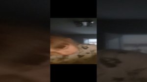 20240808_220912.mp4