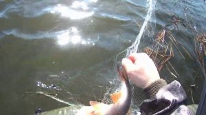 рыбалка на сети весной в разлив день 2-й.