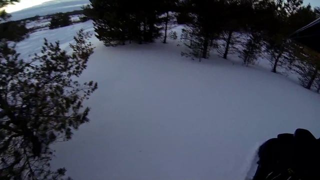 На медведице смотреть онлайн