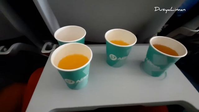 Чем кормят  на рейсах S7 Airlines? Горячее питание. Airbus A320 NEO