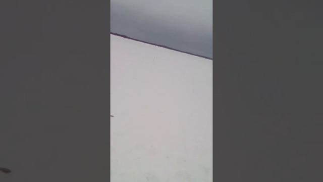 Рыбалка на ельца в марте на реке. смотреть онлайн