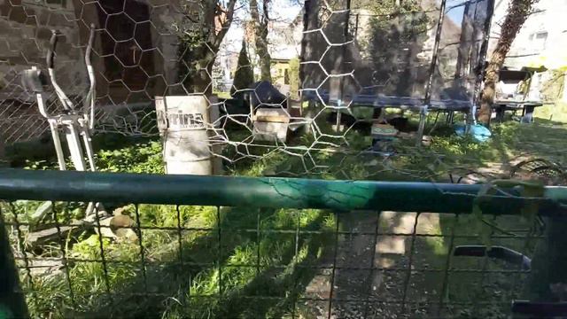 Посадила лучок сварила творог вообщем домашние дела смотреть онлайн