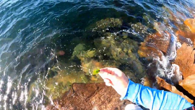 LUDERICK , LUDERICK , LUDERICK смотреть онлайн