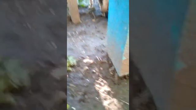 Заберите эту собаку смотреть онлайн