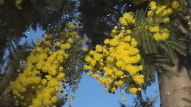 ВЕСНА 8 МАРТА смотреть онлайн
