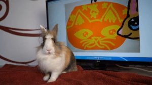 БАФФИ МИЛАФФИ и РИСУНКИ ОТ ПОДПИСЧИКОВ! КОТ МАЛЫШ или Супер кот влюбился в Леди Баф