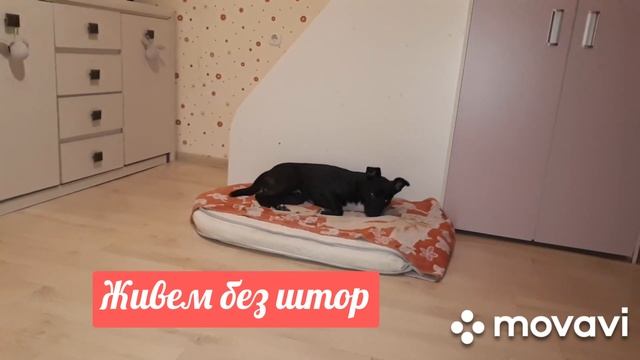 BLOG.11(ХАНИ)???(СОН НАМ ТОЛЬКО СНИТСЯ)))) смотреть онлайн