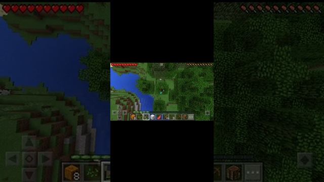 Как найти тыквы в майнкрафте