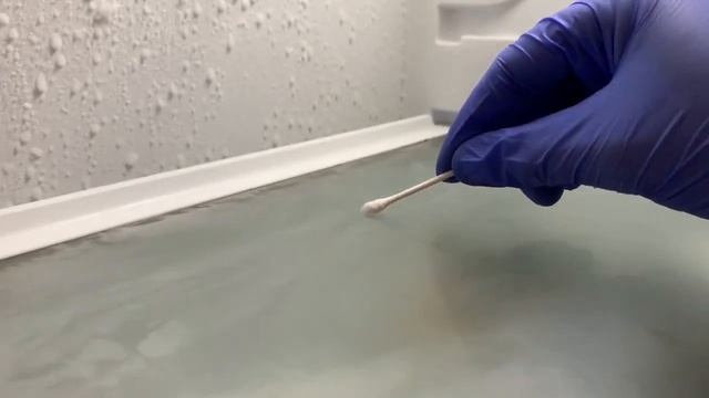 Cultivating Bacteria смотреть онлайн