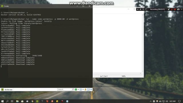 Docker смотреть онлайн