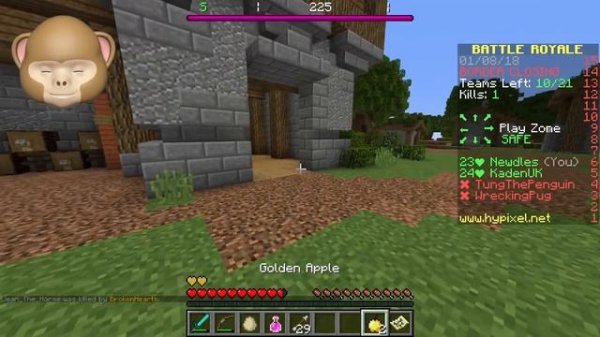 MINECRAFT BATTLE ROYALE!!