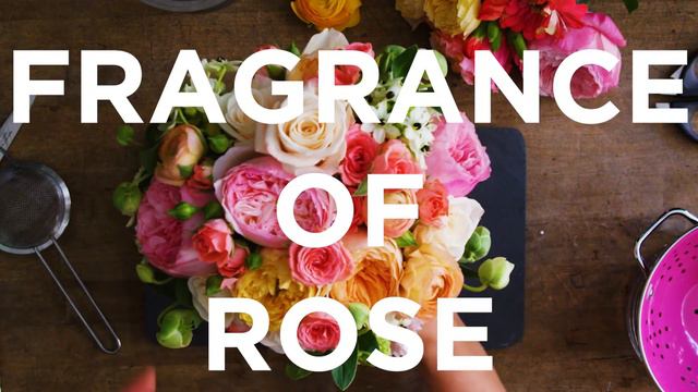 Magnolia Orchid- Rose Hydrating Jelly Mask смотреть онлайн