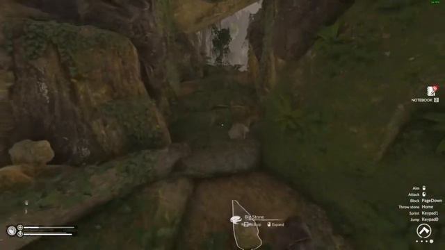 green hell lets play amazonian update part 3 - beautiful lagoon - Jon of Wales (PC) смотреть онлайн