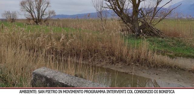 TG GIORNO 18/02/2021 смотреть онлайн