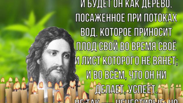 ВАС БУДУТ ОТВЛЕКАТЬ, НО ВЫ ДОЛЖНЫ ПРОЧЕСТЬ ЭТИ СЛОВА ЭТО ВАЖНО! смотреть онлайн