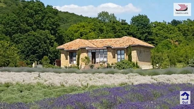 #106 Лавандовое поле в Анапе/Прованс в Краснодарском крае/хутор Семигорский/усадьба Семигорье. смотреть онлайн