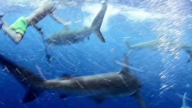 People Are Awesome Top