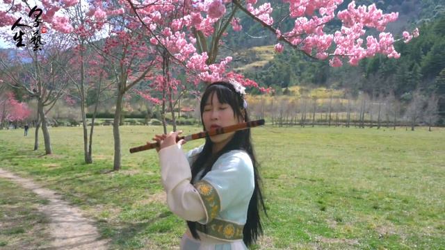《涼涼》Bracing the chill｜竹笛演奏 Bamboo Flute (Dizi) cover｜電視劇《三生三世十里桃花》主題曲 Eternal Love OST смотреть онлайн